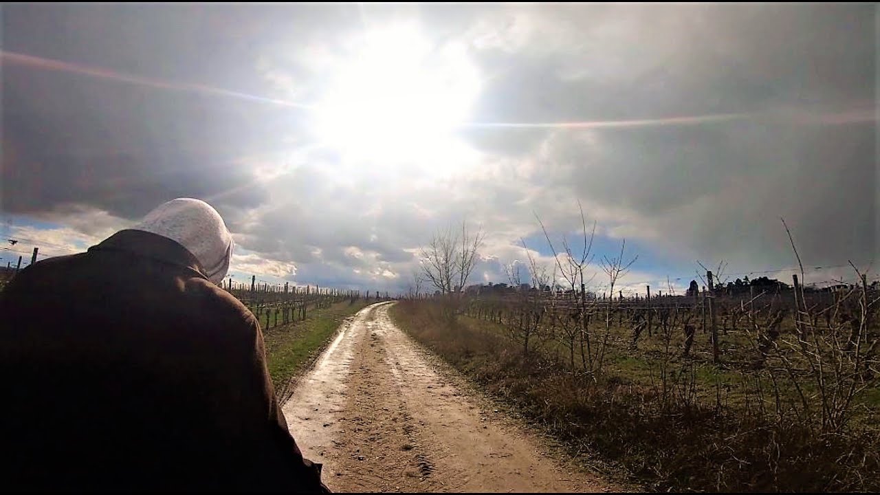 Wandern im Rheingau: Here comes the sun