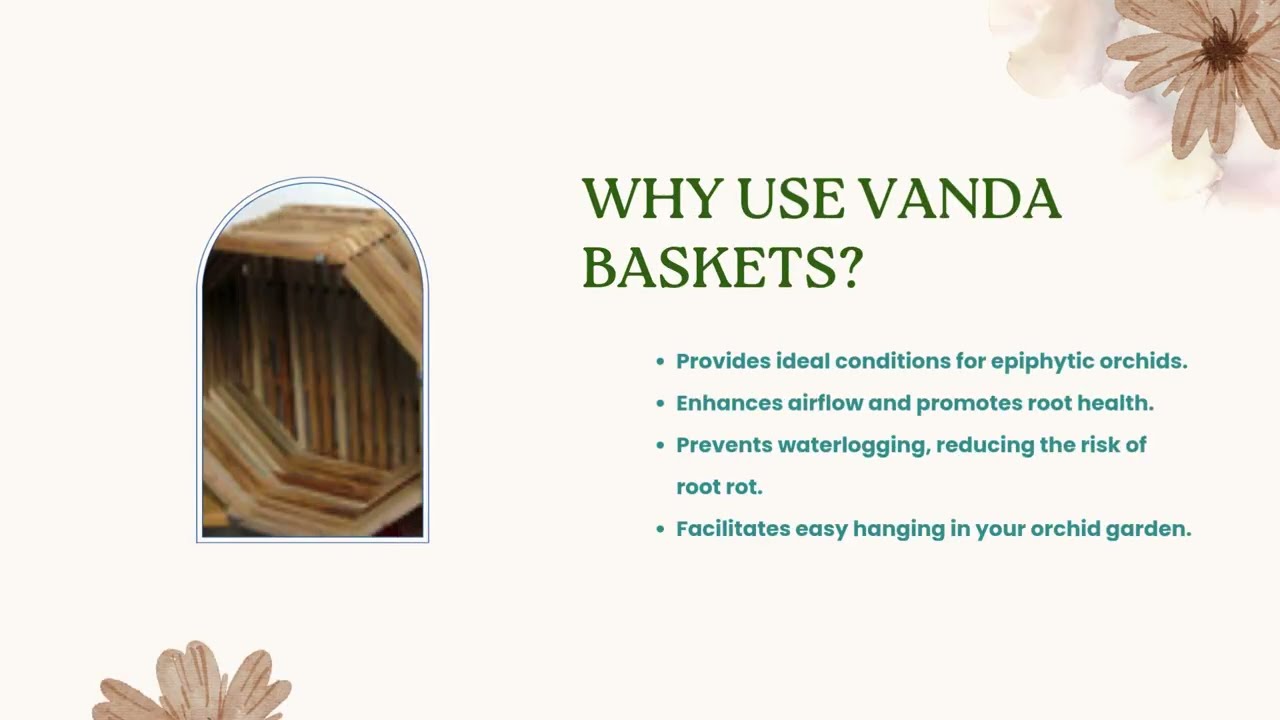 Vanda Basket: Enhance Airflow and Orchid Root Development