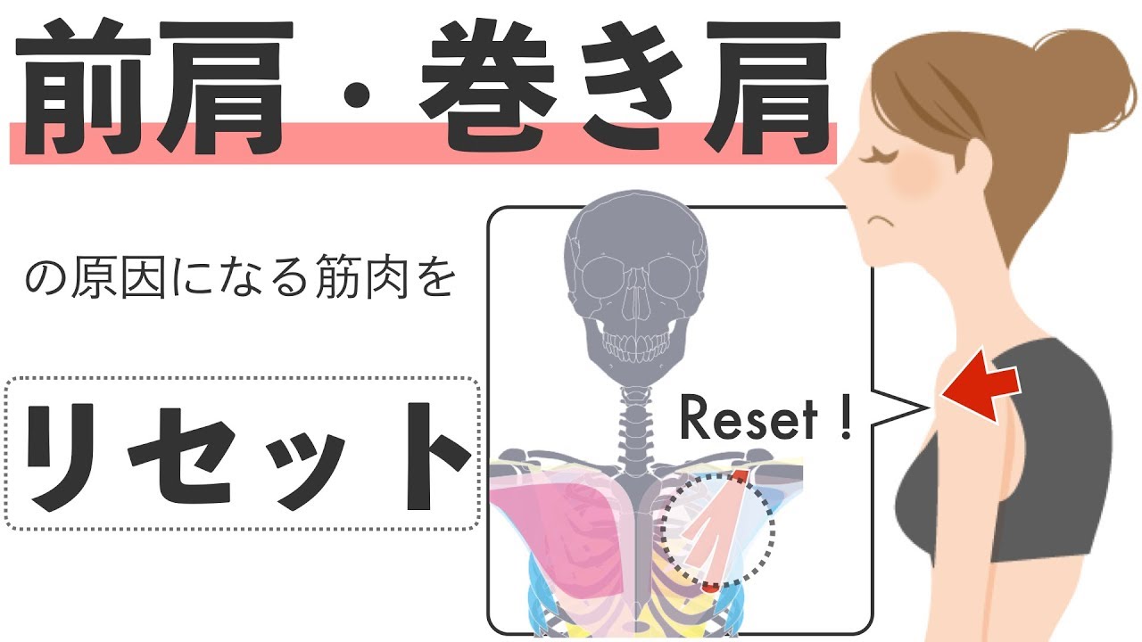 前肩・巻き肩の原因筋をリセット【筋膜リリース】ストレッチ