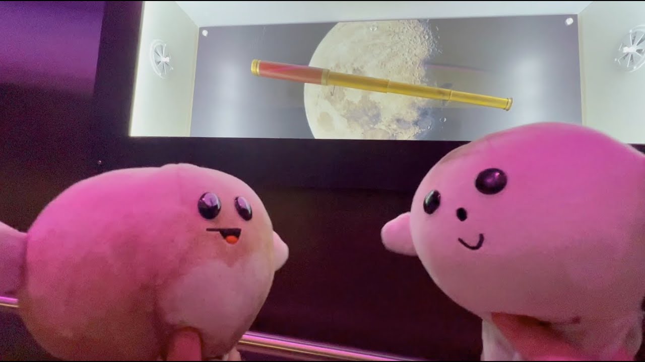 Planet Celestial Buddies Outer Space Adventure!