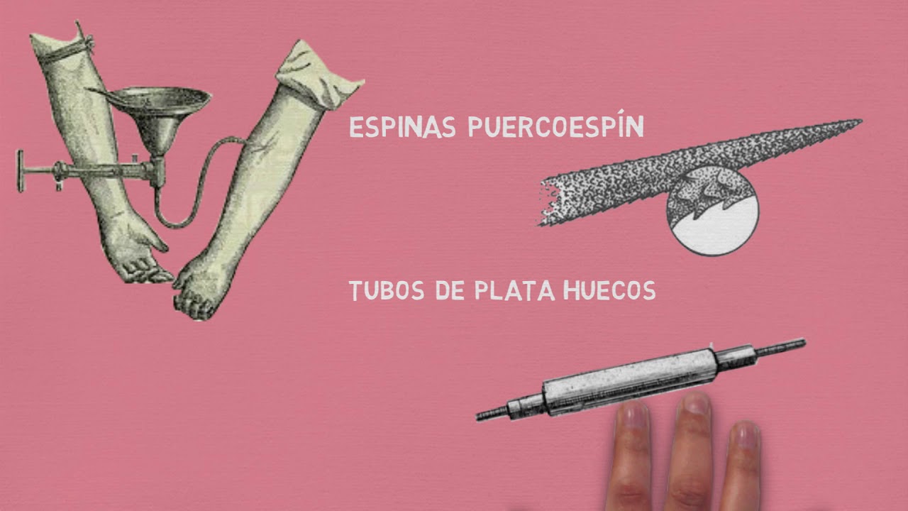 Breve historia de la donación de sangre