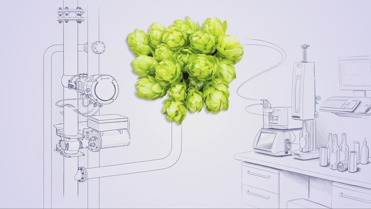 How to complete your beer analysis