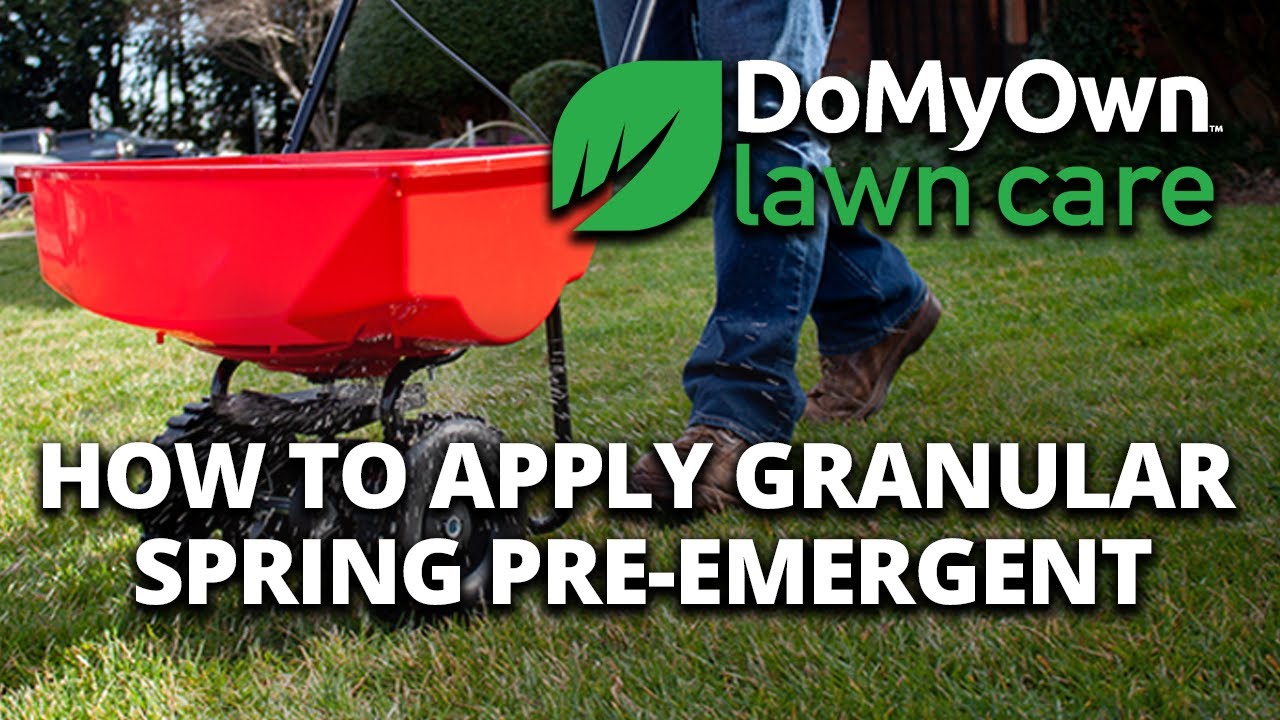 How to Apply Pre Emergent Herbicide Granules -  Spring Pre-Emergent Weed Control | DoMyOwn.com