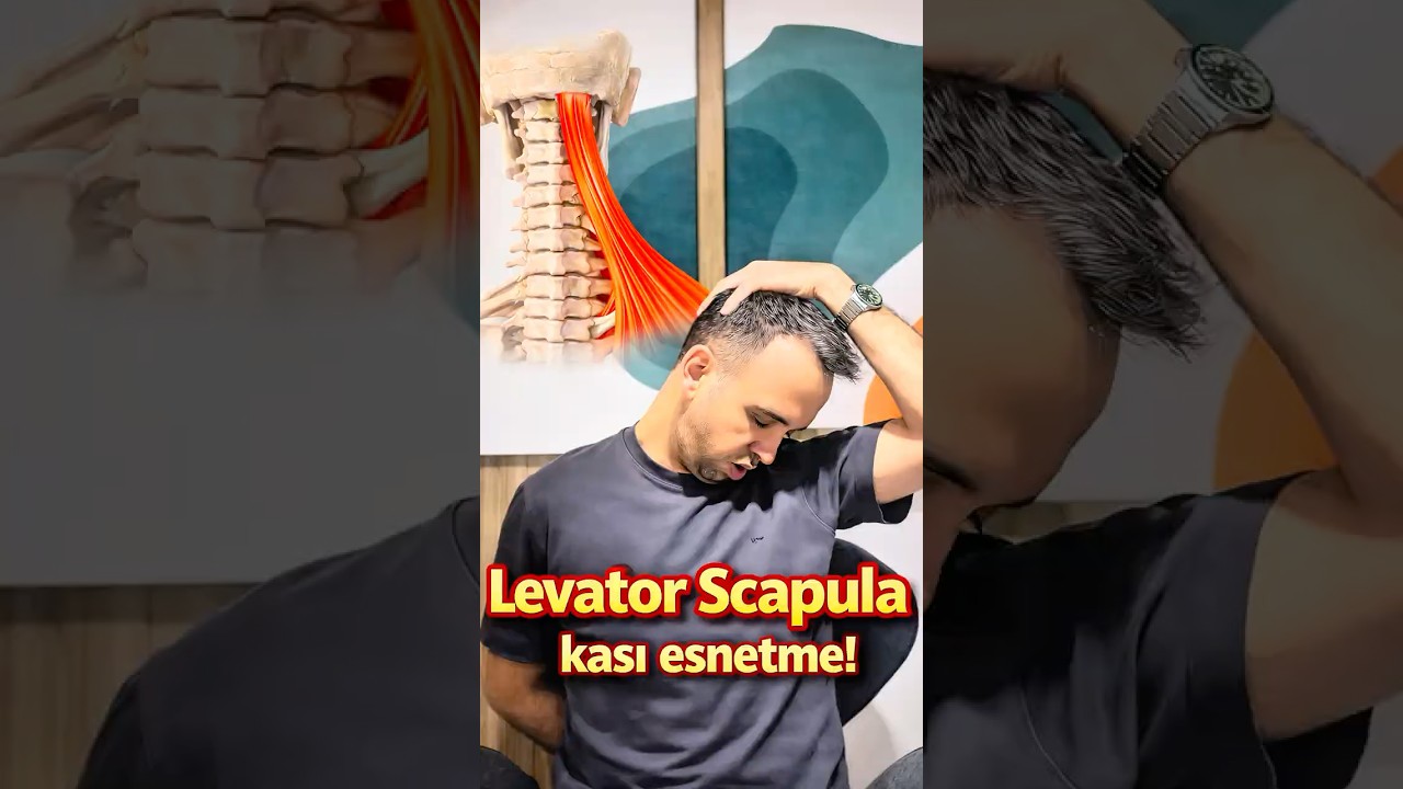 Boyun tutulmalarında en çok etkilenen levator skapula kasını esnetiyoruz