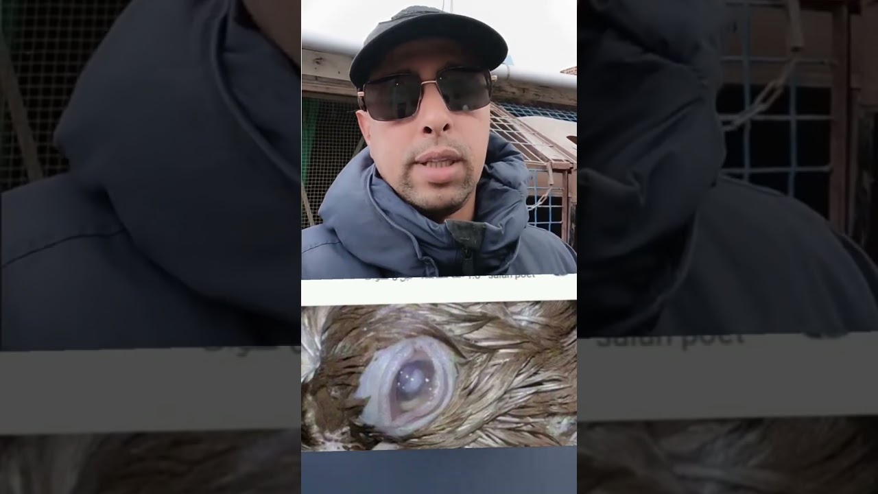 ٢١ ديسمبر ٢٠٢٥
