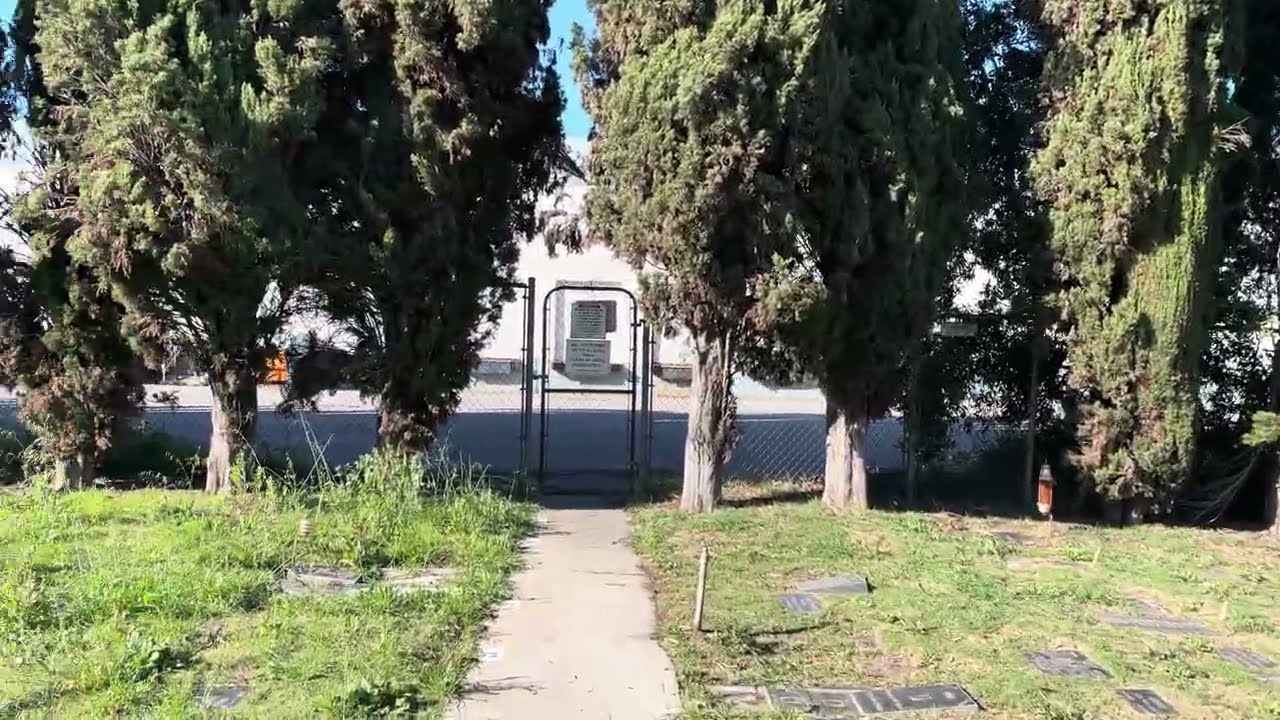 Pet Haven grounds