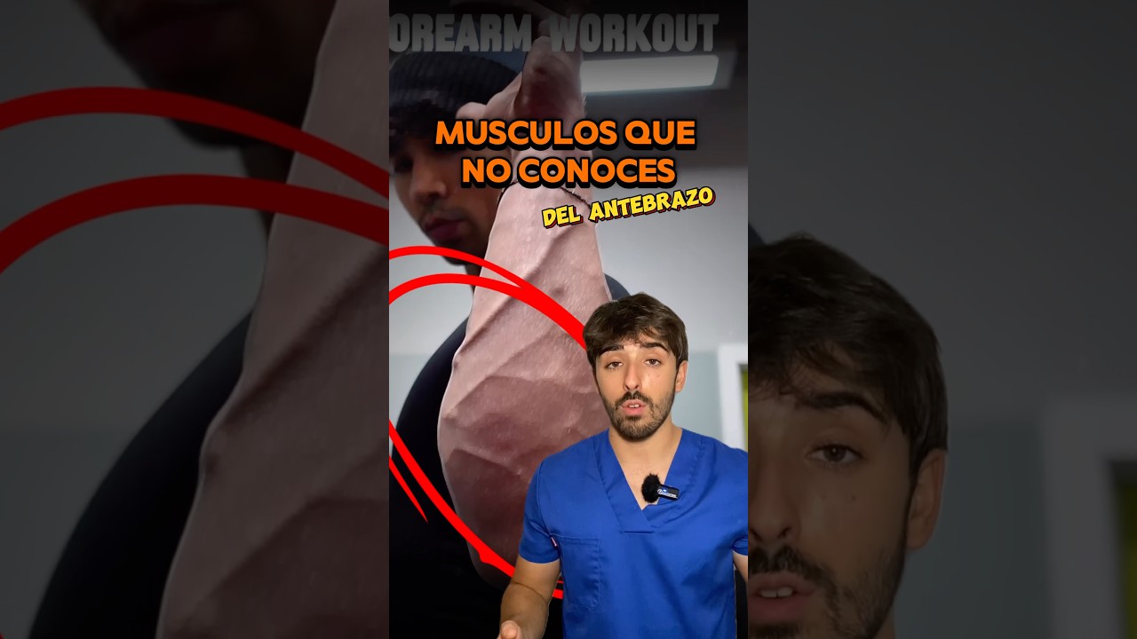 ❗️M&Uacute;SCULOS QUE NO CONOCES DEL ANTEBRAZO❗️#anatomia #biomecanica #gym #fisio #sabiasque #doctor