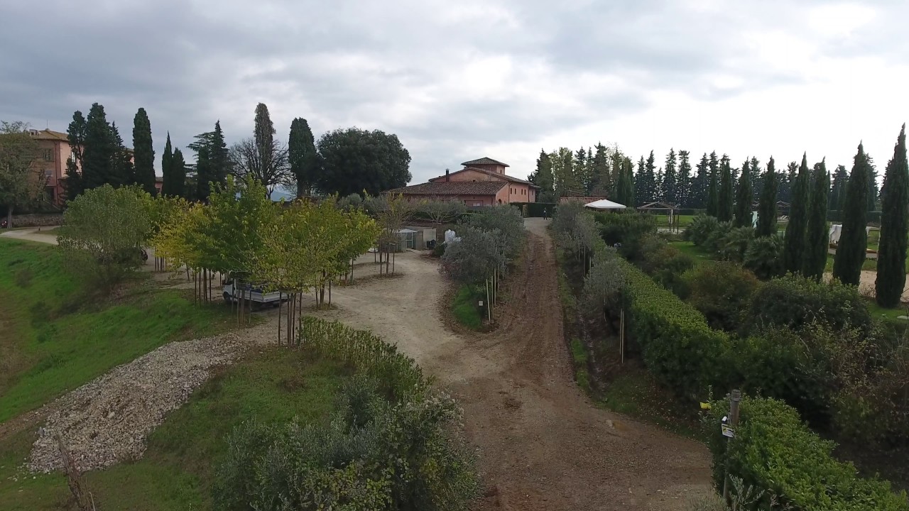 Villa Mangiacane - New viale for Villa Mazzei - Nov. 2016- footage for edit