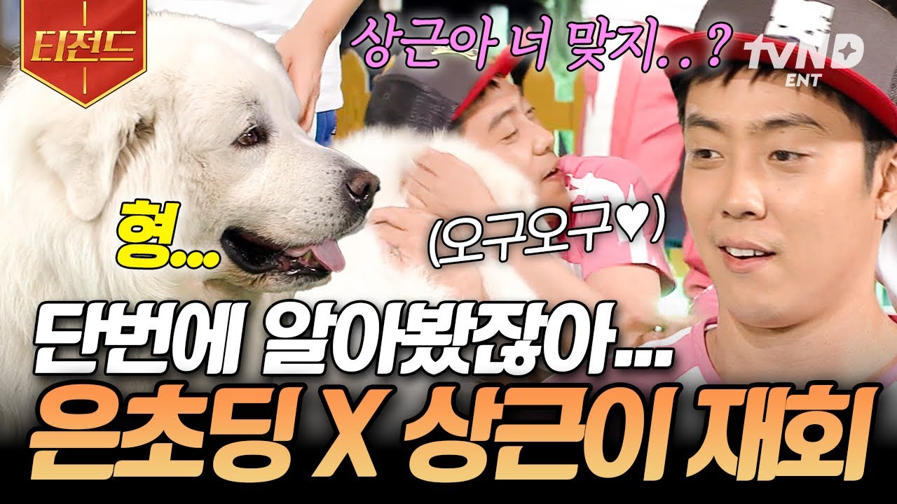 [#세얼간이] 
