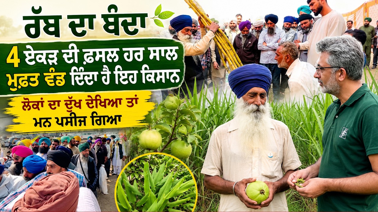 ਇਹ ਹੁੰਦੀ ਹੈ ਅਸਲ ਭਗਤੀ