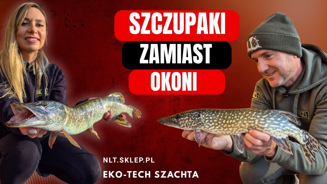 Listopadowe szczupaki zamiast okoni, czyli ultralight z NLT na Eko-Tech Szachcie.
