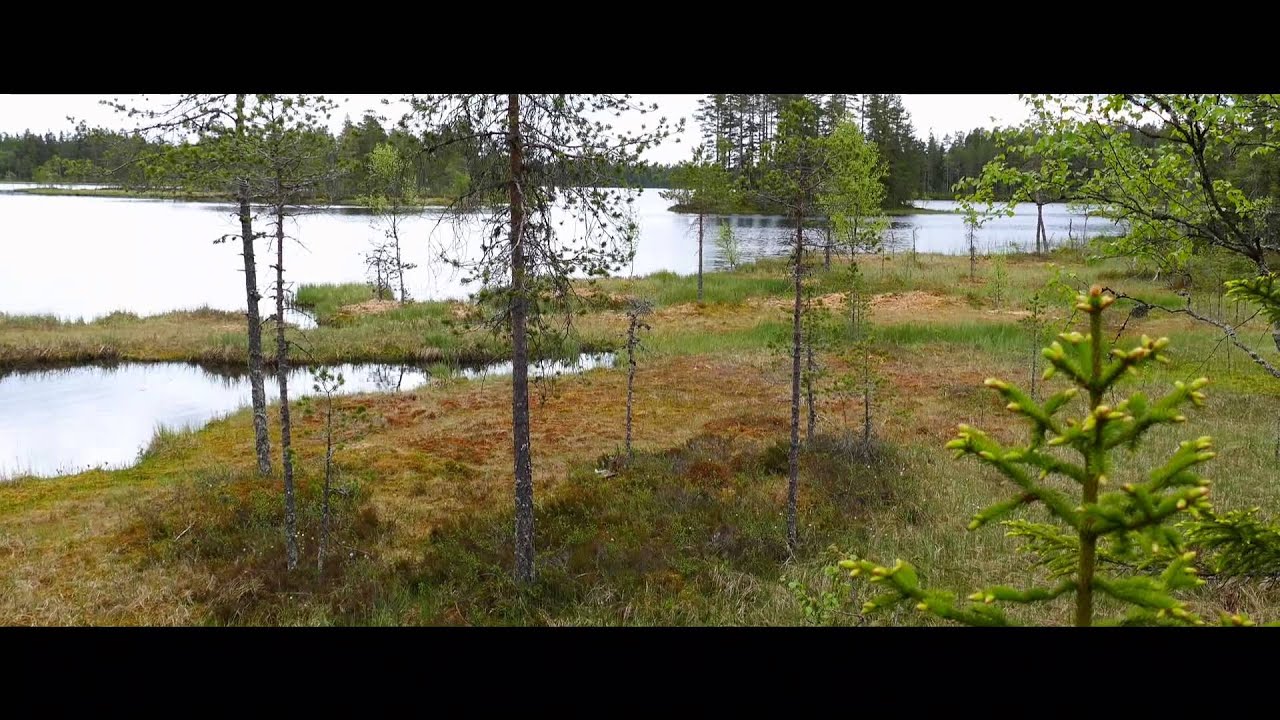 Rädsjön Runt, Orsa Grönklitt, Sweden