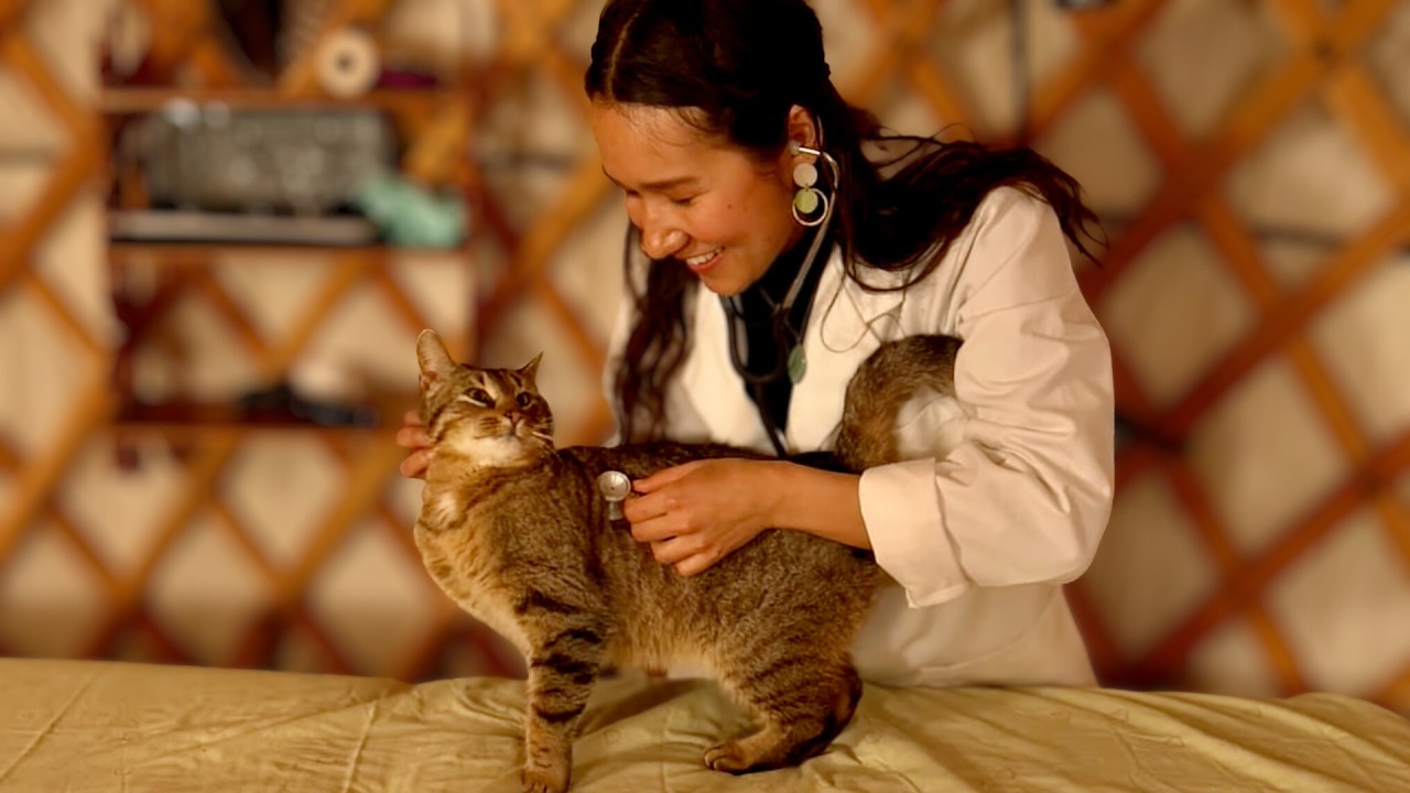 ASMR Vet Exam with the Most Aggressively Friendly Cat 😻 (Veterinary Roleplay)