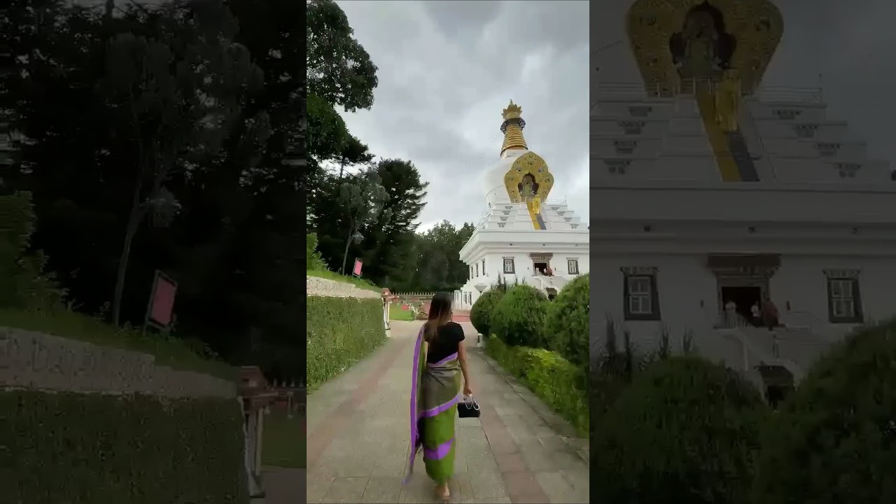 Clement Town I Buddha Temple I Dehradun I Uttrakhand #short #shortsfeed  #shorts  #shortsvideo