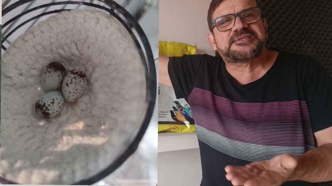 A Hora de mudar a rotina é agora!!!!