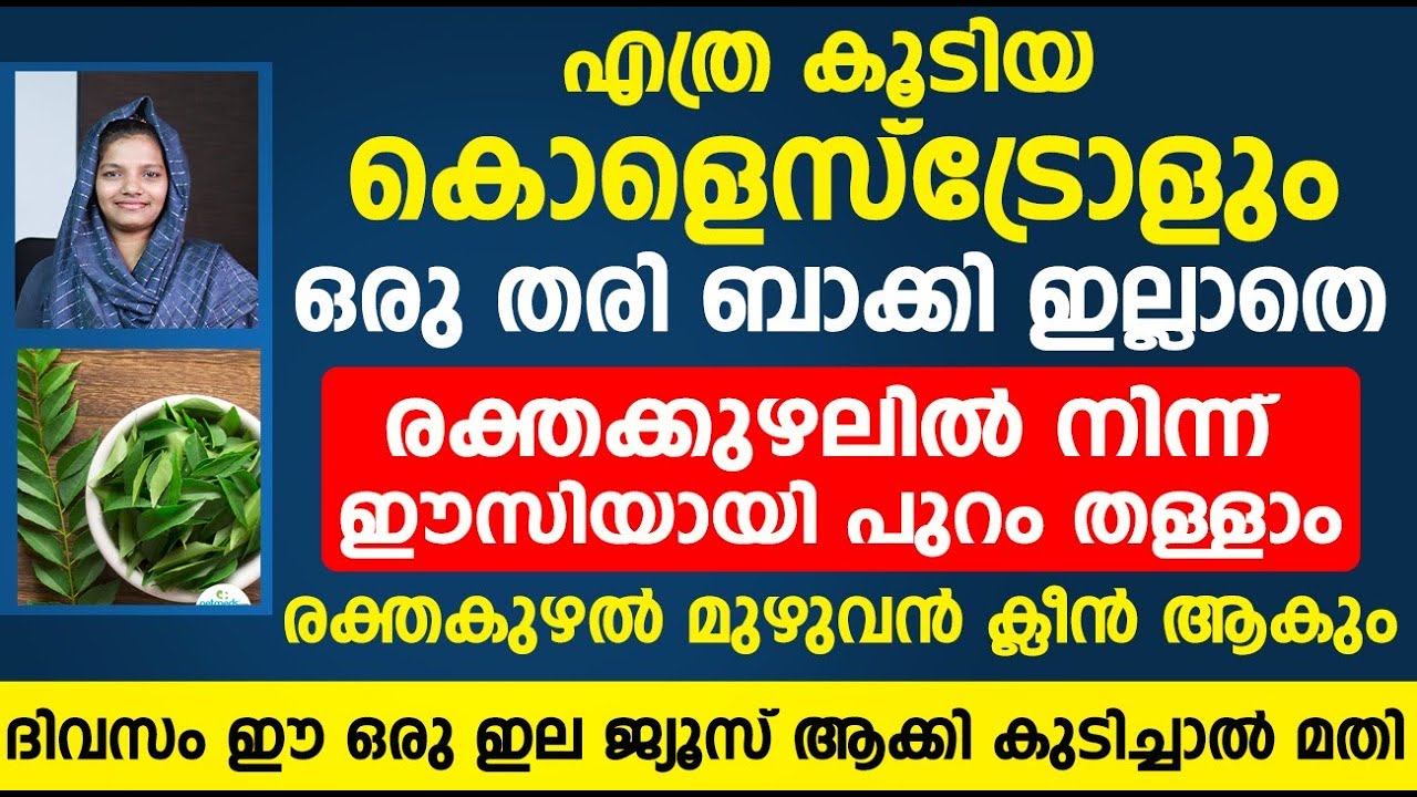വർഷങ്ങളായി ശരീരത്തിലുള്ള കൊളെസ്ട്രോൾ തുടച്ചുനീക്കാൻ ഈ ഇല മാത്രം മതി | cholesterol kurakkan malayalam