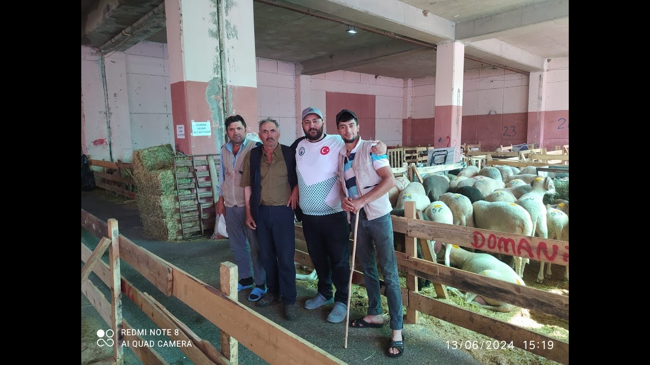 ALACAHIRKA KURBAN PAZARI BURSA 2024/ OAÇ TV/ #kurban #kurbanlıkfiyatları #koyun  #kurbanlıksatışı