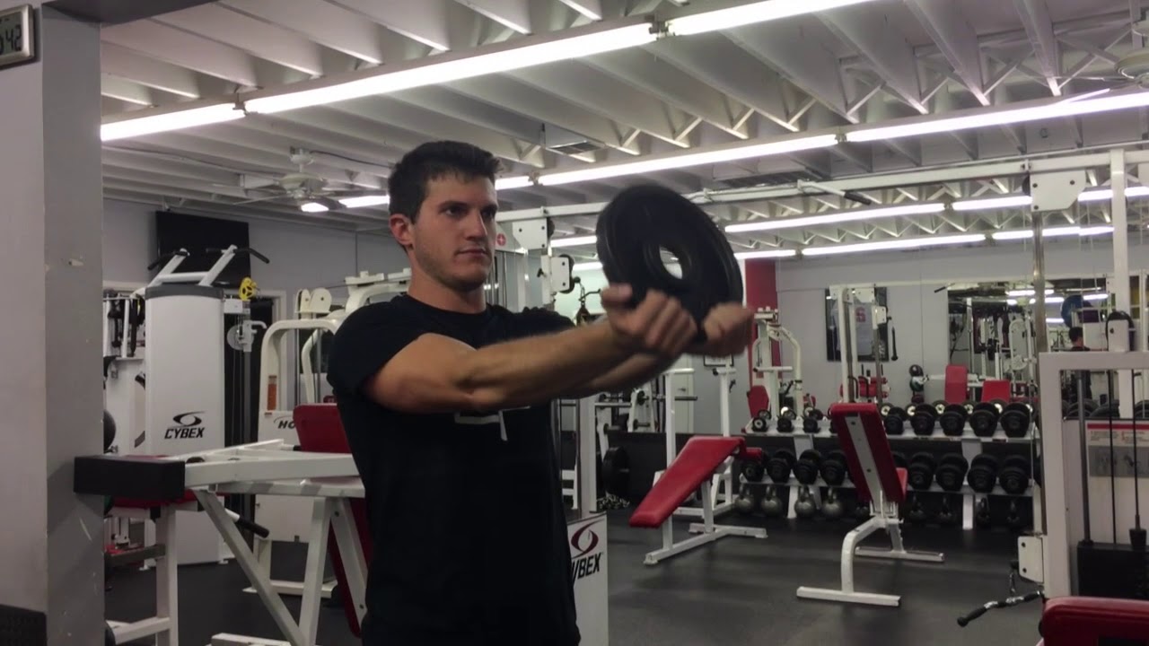 Chest Plate Raises