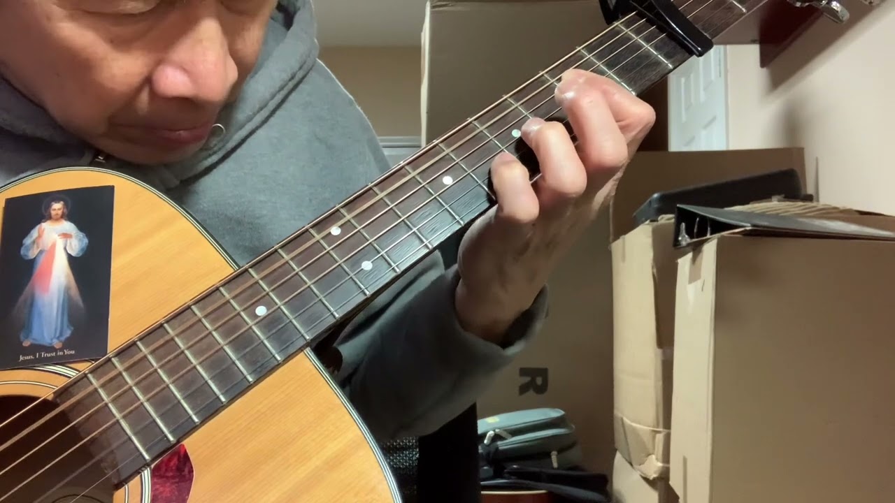 Tantum Ergo Sacramentum/Rarest Instrumental Guitar cover