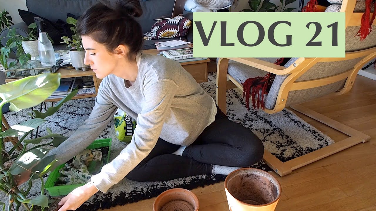 Potager urbain, rempotage, boutures & recette - VLOG 21