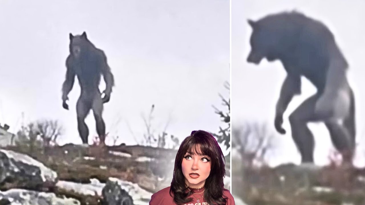 Undeniably CREEPY Evidence of CRYPTIDS Caught on Camera 2026