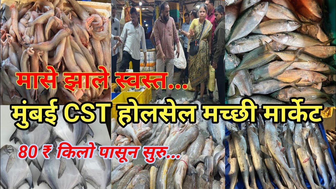 Mumbai CST Fish Market | Cst Wholesale Fish Market | Wholesale Fish Market In Mumbai 