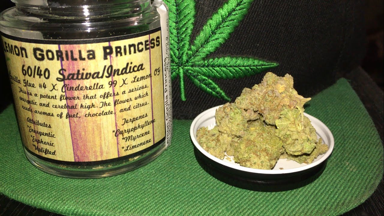 Lemon Gorilla Princess Strain Review