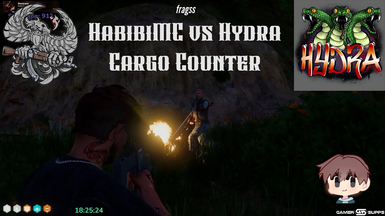 HabibiMC vs Hydra Cargo Counter | Multi POV | NoPixel RP