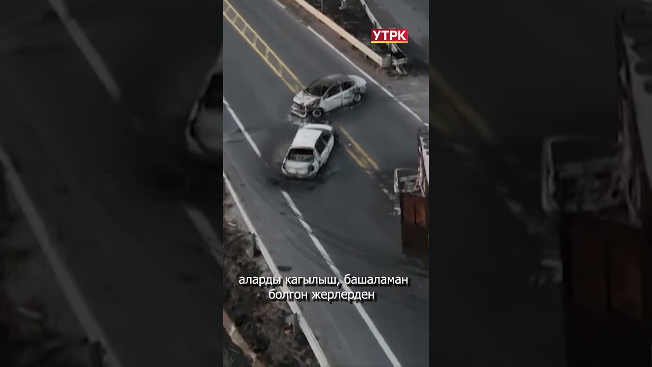 ТИМ жарандарды Мексикага барбай турууга чакырат