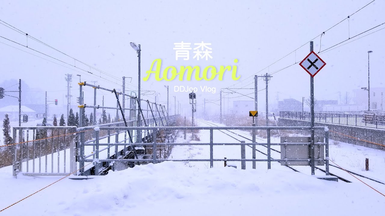 일본 아오모리(青森) 겨울 여행 | 눈이다!!! 눈!눈!눈!❄️  | 시장에서 골라먹는 놋케동 (회덮밥), 향토음식 이자카야, 네부타, 토호쿠(東北) 이스트패스(EAST PASS)