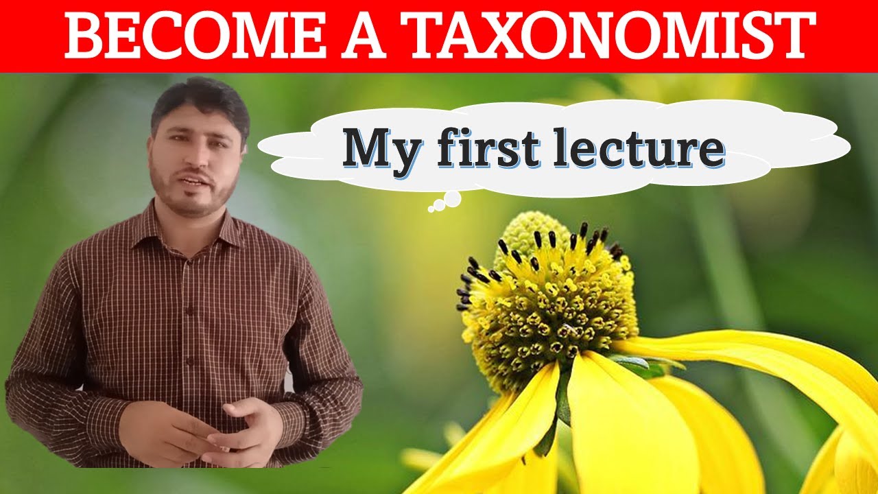 From Curious Observer to Expert Classifier: How to Become a Taxonomist?