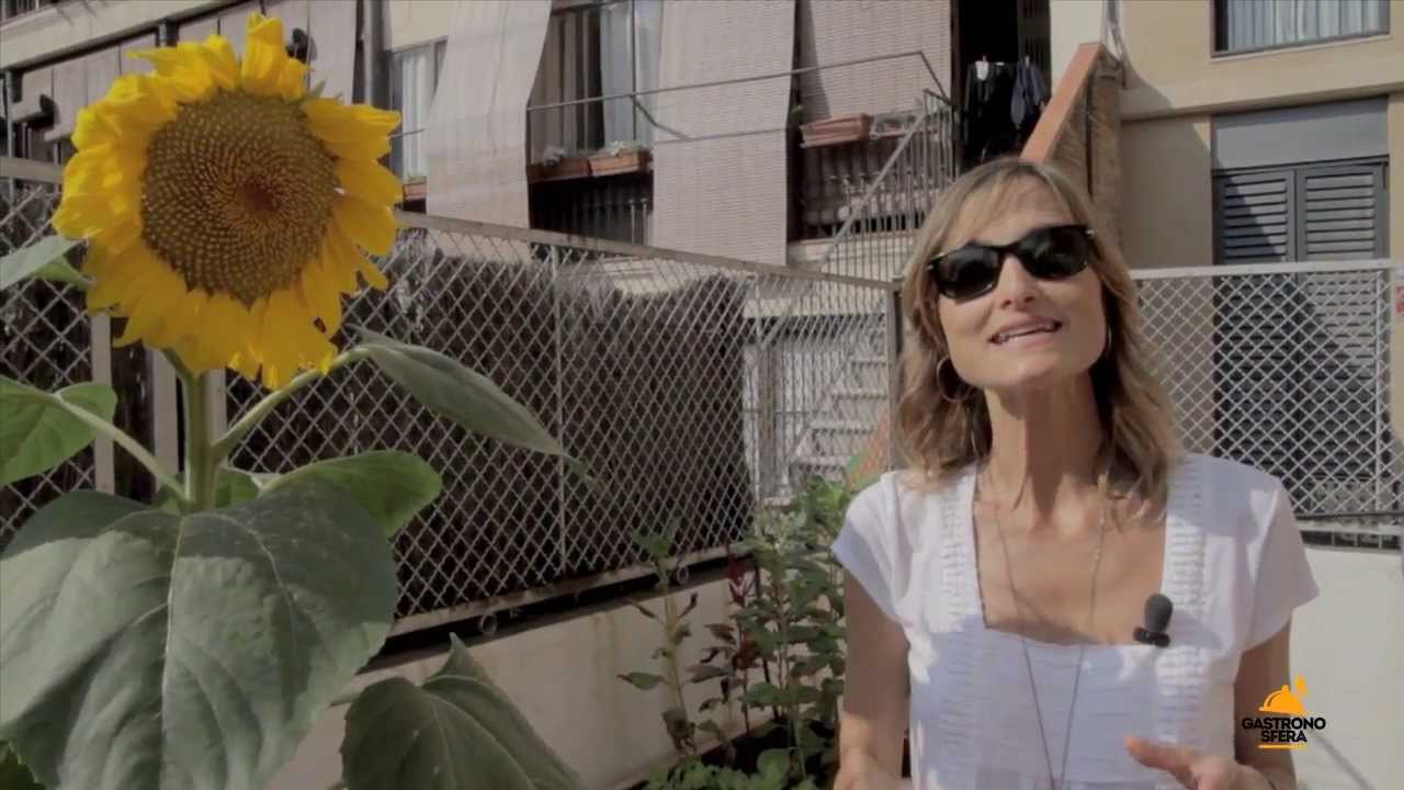 Huerto urbano o cómo cultivar tus propias verduras | Magda Carlas