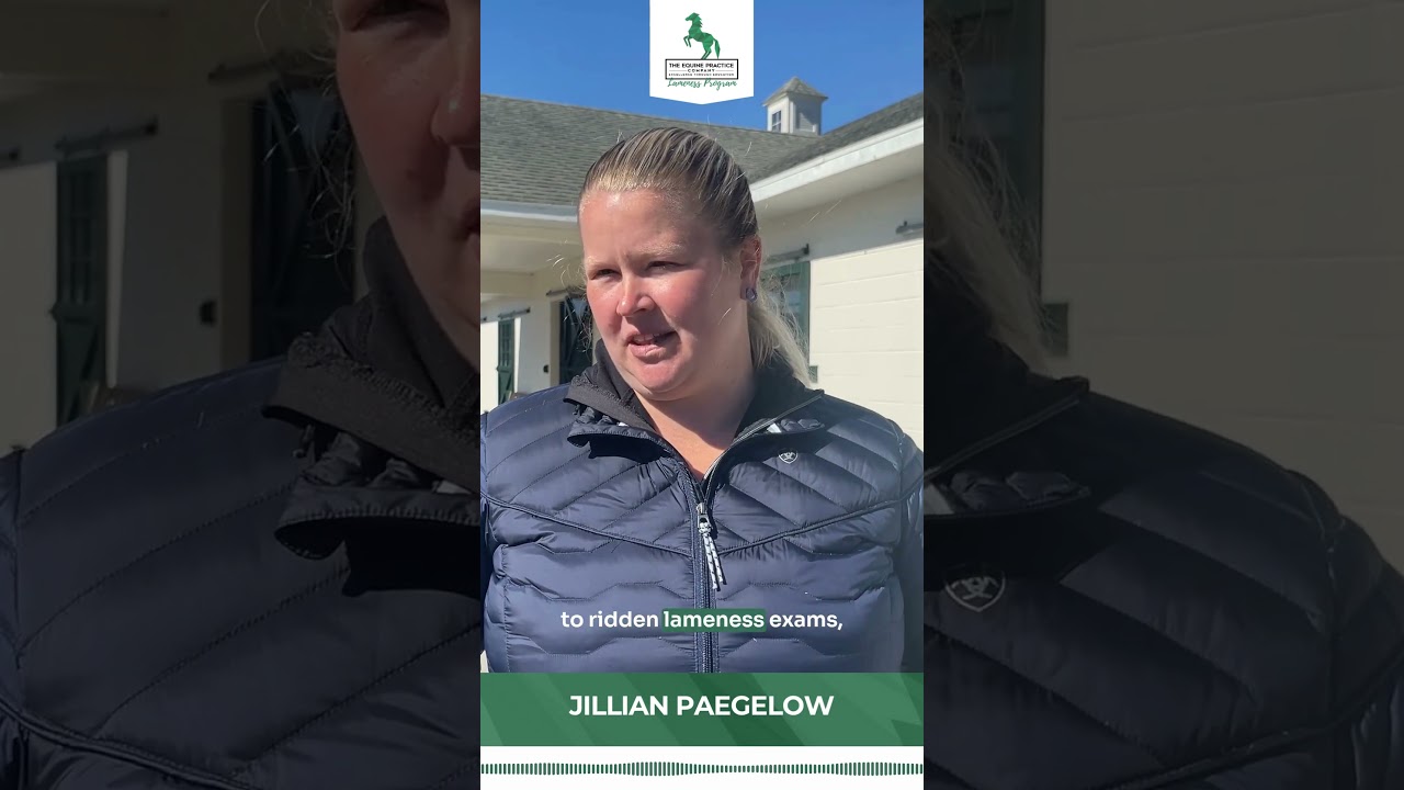 Why Dr. Jillian Paegelow Says This Lameness Workshop Changed Her Practice