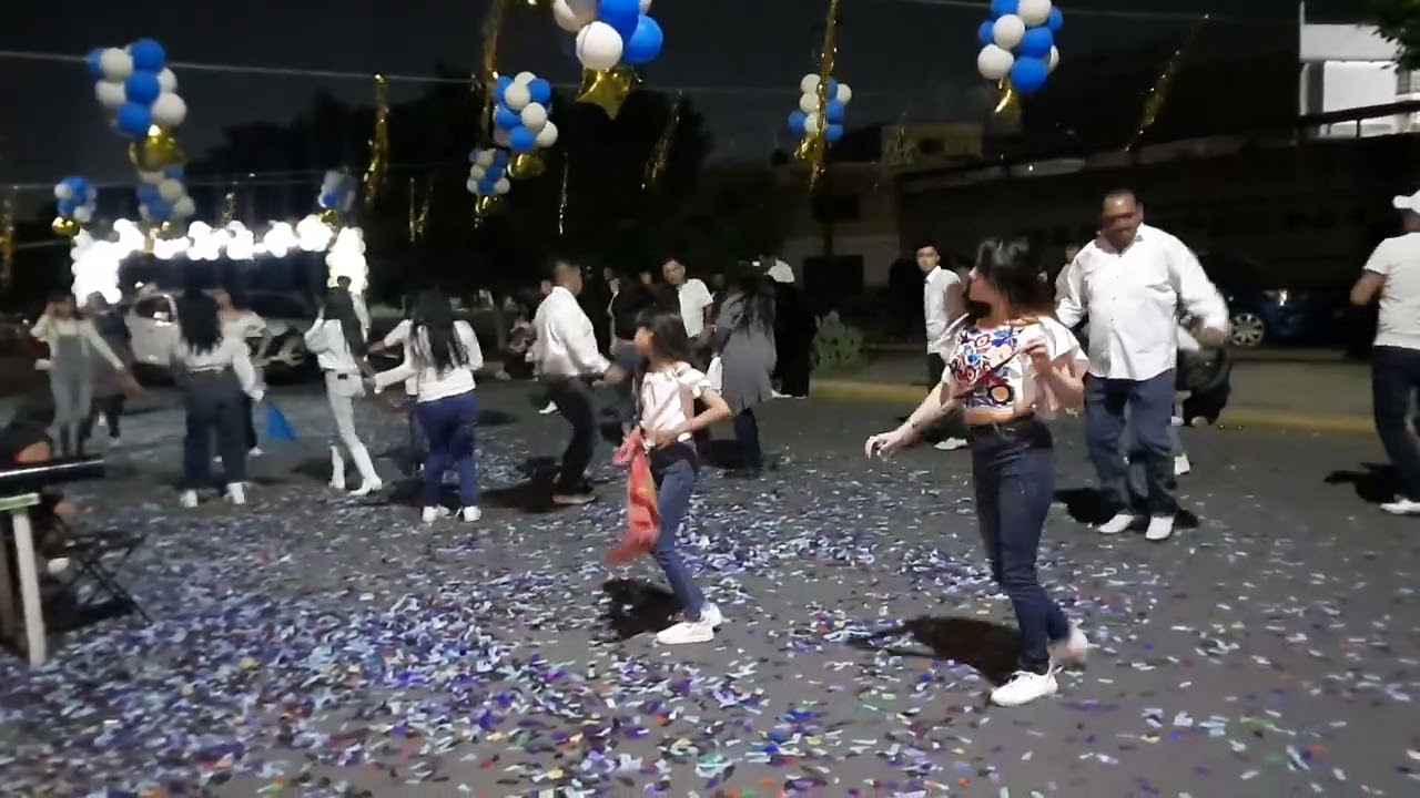 Ensayo 2024  