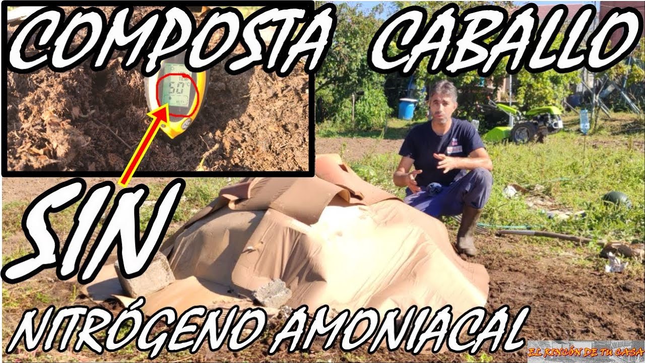 como hacer una COMPOSTA DE CABALLO CORRECTAMENTE !!!