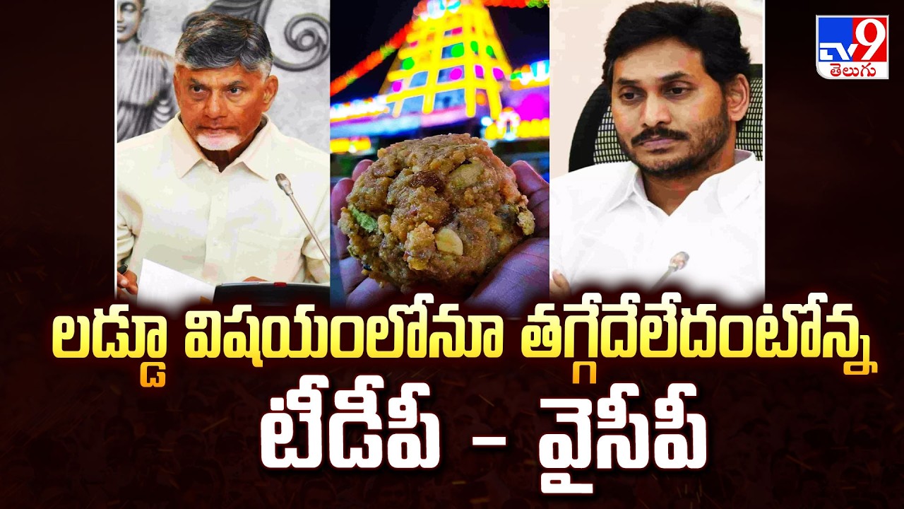 లడ్డూ విషయంలోనూ తగ్గేదేలేదంటోన్న టీడీపీ - వైసీపీ | TDP vs YSRCP - TV9