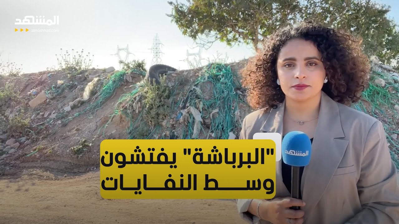 تونس.. 