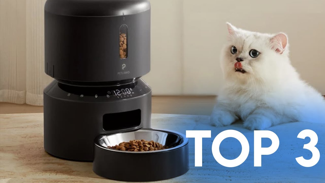 TOP 3 : Meilleur Distributeur de Croquettes pour Chat 2025