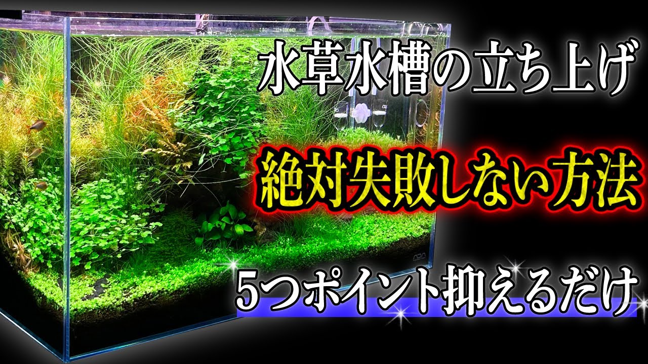 【ミスト式編】水草水槽の立ち上げを必ず成功させる５つのポイント！〜アクアリウムin地球#104
