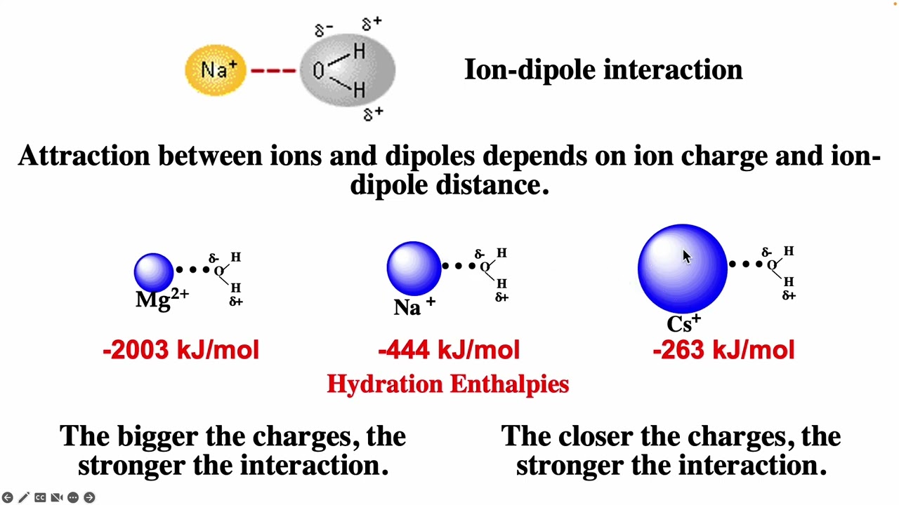 Ion-Ion and Ion-Dipole Interactions