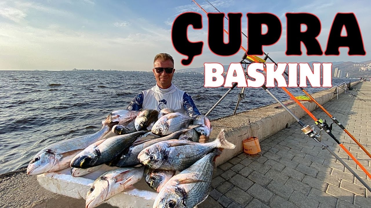 ÇUPRALARIN BASKININA UĞRADIK !!!