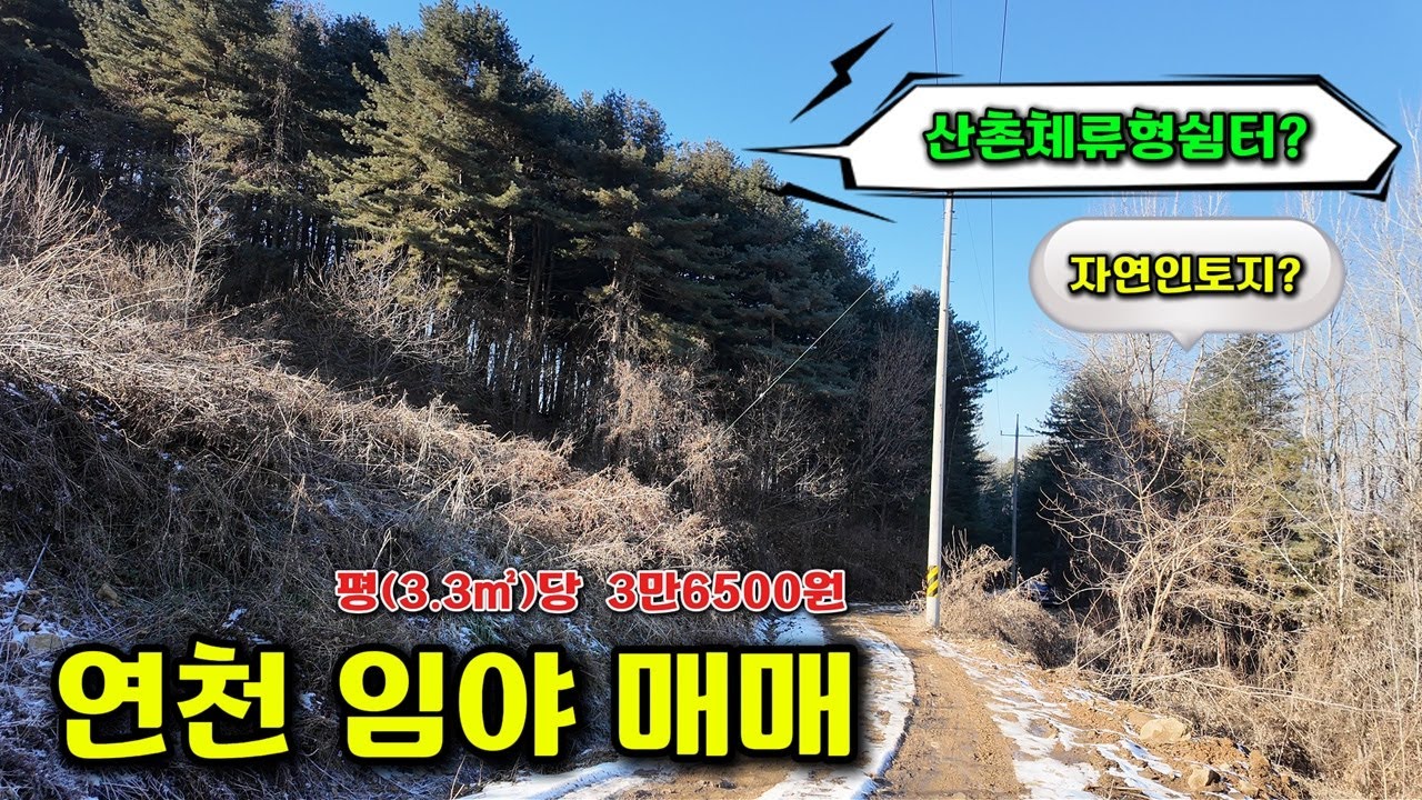 선곡리 임야 2190평 저렴한 연천임야매매 8000만원 #연천토지매매