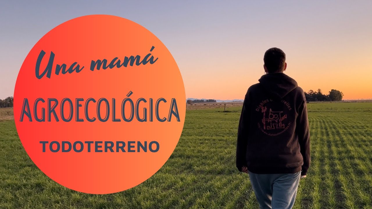 🌾🐂 el PODER regenerativo de la AGROECOLOGÍA de la mano de una mujer audaz. Clara E3T1 Cnel. Suárez
