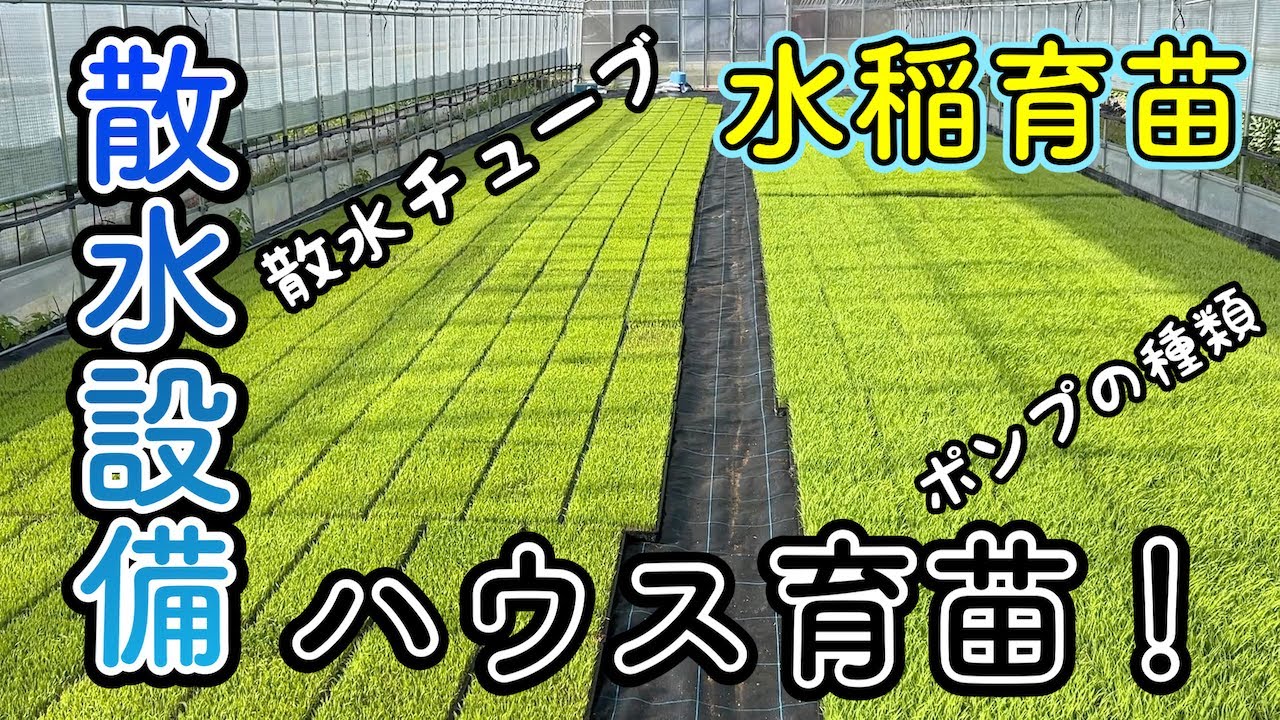 ハウス育苗での散水設備！灌水資材について紹介しています。