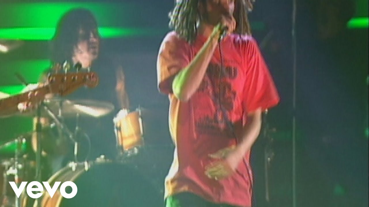Rage Against The Machine - Bulls on Parade (from The Battle Of Mexico City)