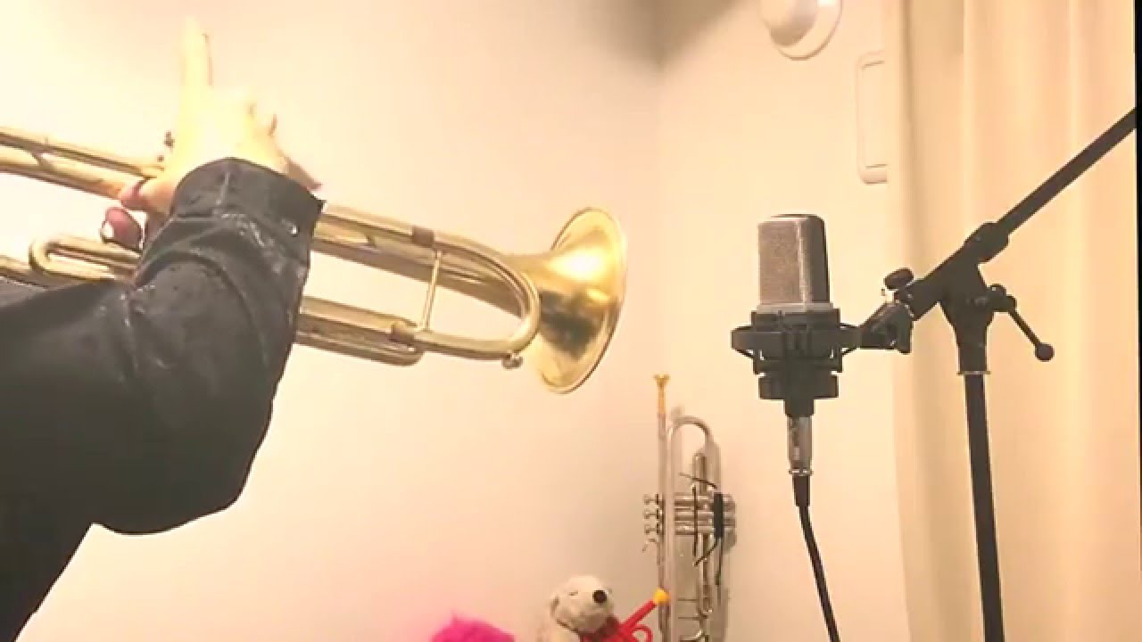 【トランペット】情熱大陸_Trumpet【吹いてみた】