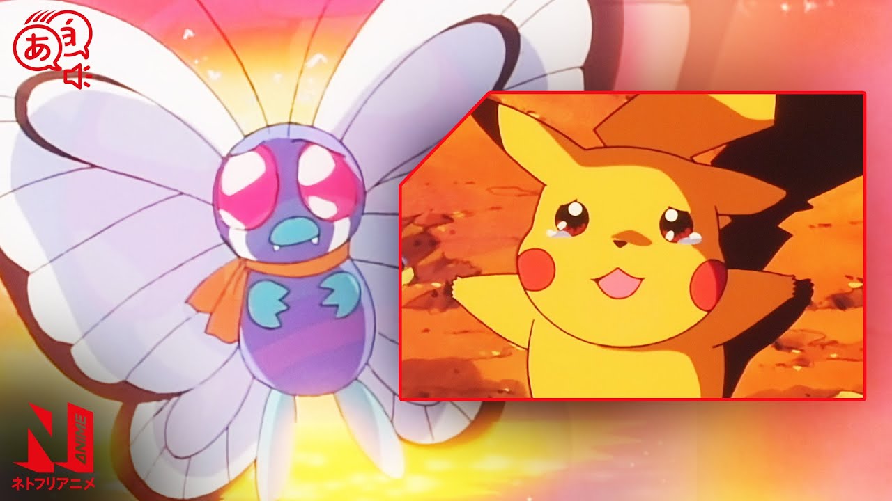 Bye Bye Butterfree | Pokémon The Series: Indigo League | Clip | Netflix Anime