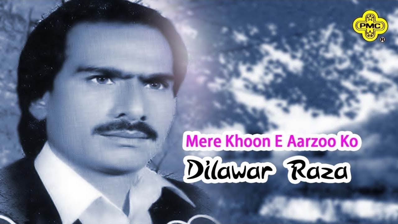 Dilawar Raza | Mere Khoon E Aarzoo Ko | Pakistani Regional Song