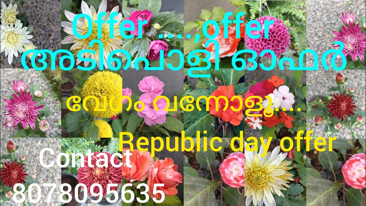 ഒരിടത്തും കിട്ടാത്ത ഓഫർ... 😎| 8078095635 😎 | An offer  you won't find anywhere else |
