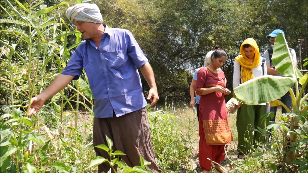 Do Nothing Farming - Krishna of Solitude Farms - Auroville - Part 5